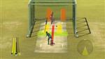 Brian Lara International Cricket 2007 screenshot 8