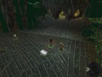 Dungeon Siege 2 screenshot 5