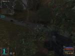 S.T.A.L.K.E.R. Shadow of Chernobyl screenshot 8