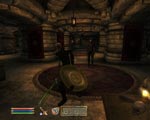 The Elder Scrolls IV: Oblivion screenshot 12