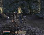 The Elder Scrolls IV: Oblivion screenshot 13
