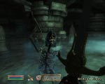 The Elder Scrolls IV: Oblivion screenshot 14