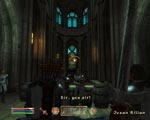 The Elder Scrolls IV: Oblivion screenshot 1