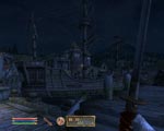 The Elder Scrolls IV: Oblivion screenshot 4