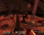 The Elder Scrolls IV: Oblivion screenshot 9