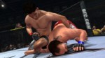 UFC Undisputed 2010 screenshot 7