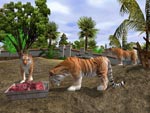 Wildlife Park 2 screenshot 4