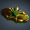 Expert Command Badge