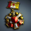 Combat Action Medal