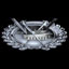 Veteran Anti-tank Combat Badge Veteran Anti-tank Combat Badge