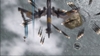 1942: Joint Strike, sequence_8_bmp_jpgcopy.jpg