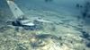 Ace Combat 6, xtg_kanno_image331.jpg