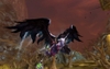 Aion, aion_2009_08_13_15_31_30_42_bmp_jpgcopy.jpg