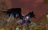 Aion, aion_2009_08_13_15_31_30_42_bmp_jpgcopy.jpg