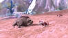 Aion, aion_npcs_fighting_eachother.jpg