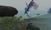 Aion, pluma_03.jpg