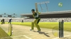 Brian Lara International Cricket 2007, dance_wkt_03.jpg