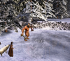The Chronicles of Narnia: The Lion, the Witch, and the Wardrobe, dump038eric.jpg