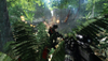 Crysis, cryspcscrnj1.jpg