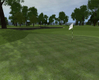 Customplay Golf, pin.jpg