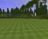 Customplay Golf