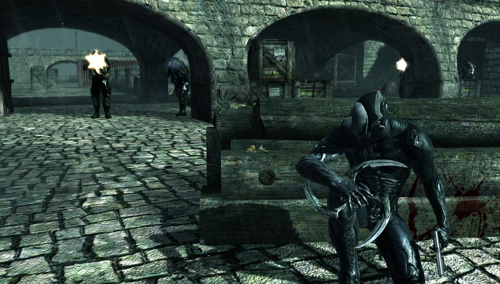 Dark Sector