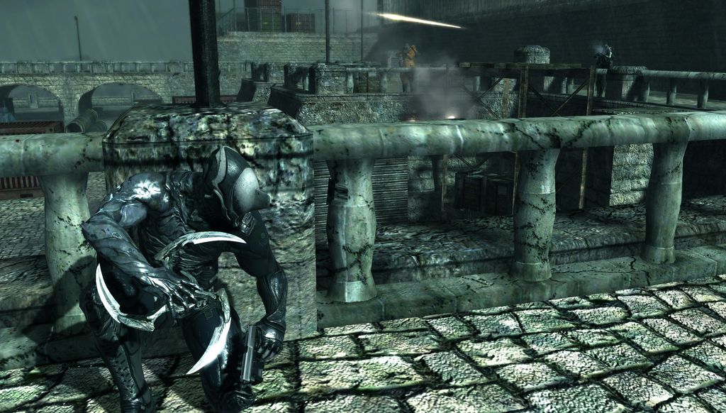 Dark Sector