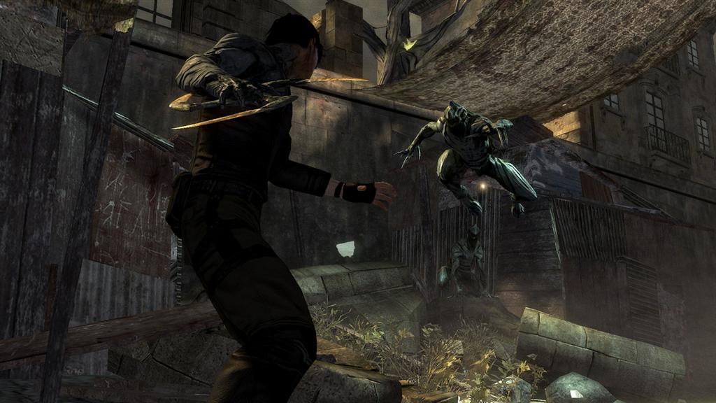 Dark Sector