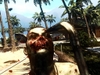 Dead Island, 5.jpg