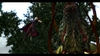 Devil May Cry 4, devil_may_cry_4_ps3__xbox_360___pcscreenshots8878capture0093_1330a.jpg