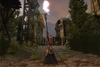 Dragon Age: Origins, dragnorpcscrndownload2_1_.jpg