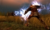 Dragon Age: Origins, dragnorpcscrndownload6_1_.jpg