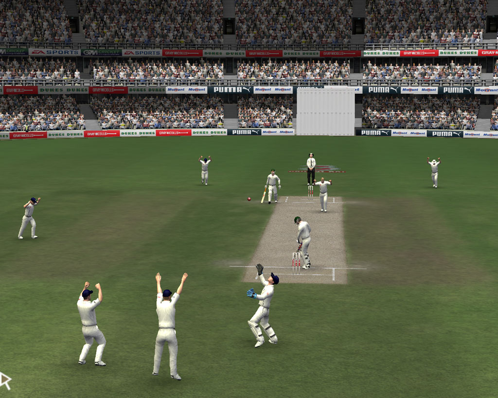 EA SPORTS Cricket 07