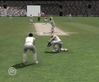 EA SPORTS Cricket 07, crkt07pcscrnashes05.jpg