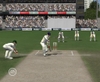 EA SPORTS Cricket 07, crkt07pcscrnashes13.jpg