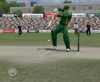 EA SPORTS Cricket 07, crkt07pcscrnprecisionbat12.jpg