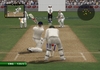 EA SPORTS Cricket 07, gameplay_4.jpg