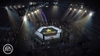 EA SPORTS MMA, ea_sports_mma_ng_intl_venues_4_bmp_jpgcopy.jpg