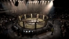 EA SPORTS MMA, ea_sports_mma_ng_scrn_firstfight_000.jpg