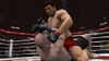 EA SPORTS MMA, ea_sports_mma_ng_scrn_hayato_vs_jh002.jpg