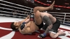 EA SPORTS MMA, ea_sports_mma_ng_scrn_hayato_vs_jh003.jpg
