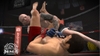 EA SPORTS MMA, ea_sports_mma_scrn_sakurai_v_hansen1_bmp_jpgcopy.jpg