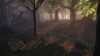 Fable 2, forest01.jpg