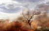 Far Cry 2, fcry2_pc_tree_on_fire_04.jpg