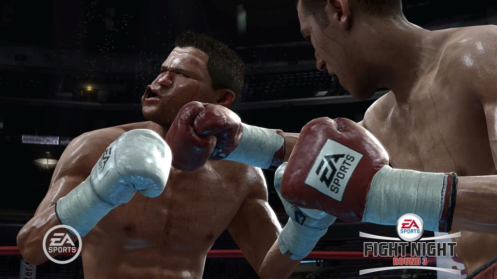 Fight Night Round 3 (PS3)