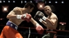 Fight Night Champion, cotto_manny_1a.jpg