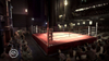 Fight Night Round 3, fitnt06x360scrnstpalace06.jpg