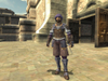 Final Fantasy XI, imperial_soldiers_psd_jpgcopy.jpg