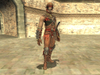 Final Fantasy XI, volunteer_soldiers_psd_jpgcopy.jpg