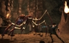 Guild Wars: Eye of the North, giant_spider.jpg